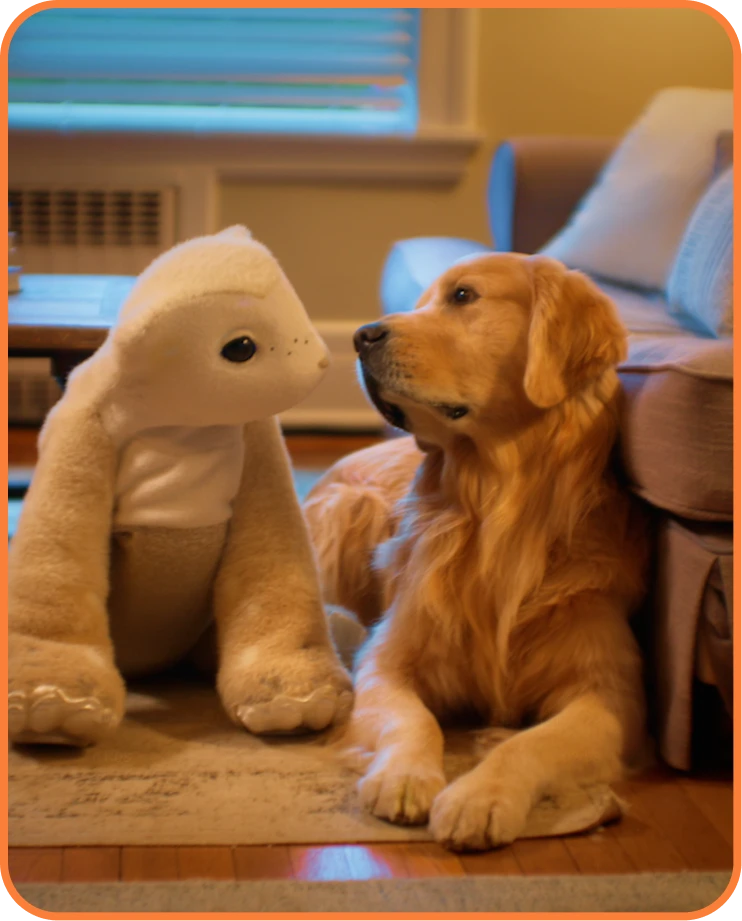 Familiar companion robot facing a golden retriever